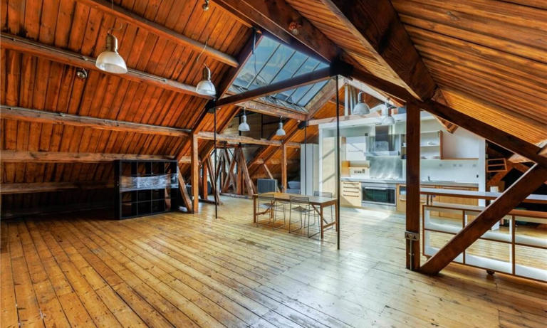 Is this Britain's most overpriced flat? Apartment in trendy North London compared to a SHED
