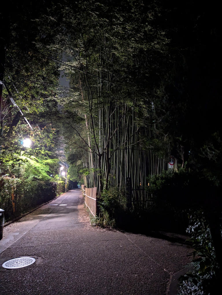 19 fun things to do in Kyoto, Japan
