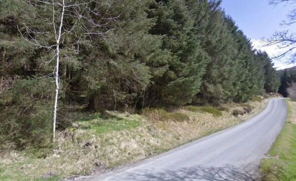 Police shut down illegal rave in UK forest