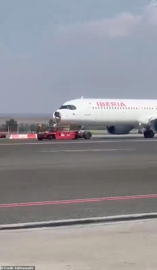 Terrifying pictures show huge damage to front of Airbus struck by bird