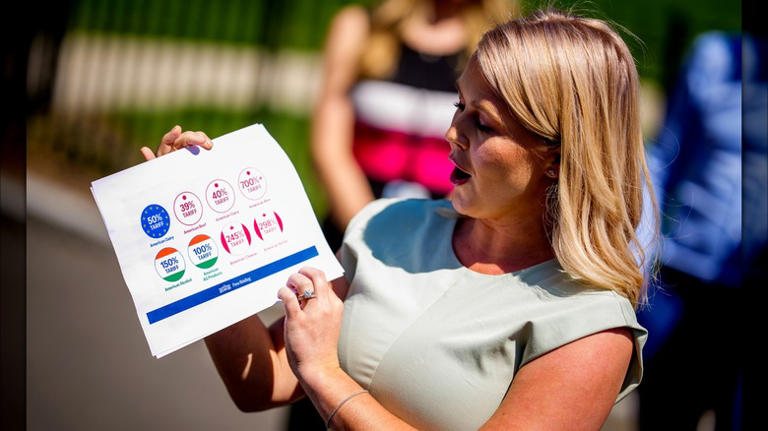 Karoline Leavitt's Fake Tan Fails Are Hard To Look At