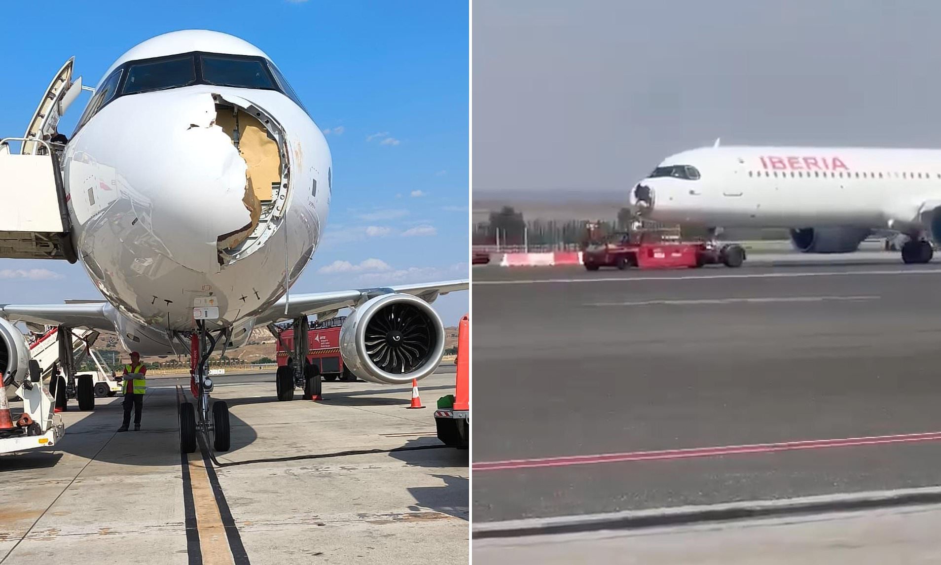 Terrifying pictures show huge damage to front of Airbus struck by bird