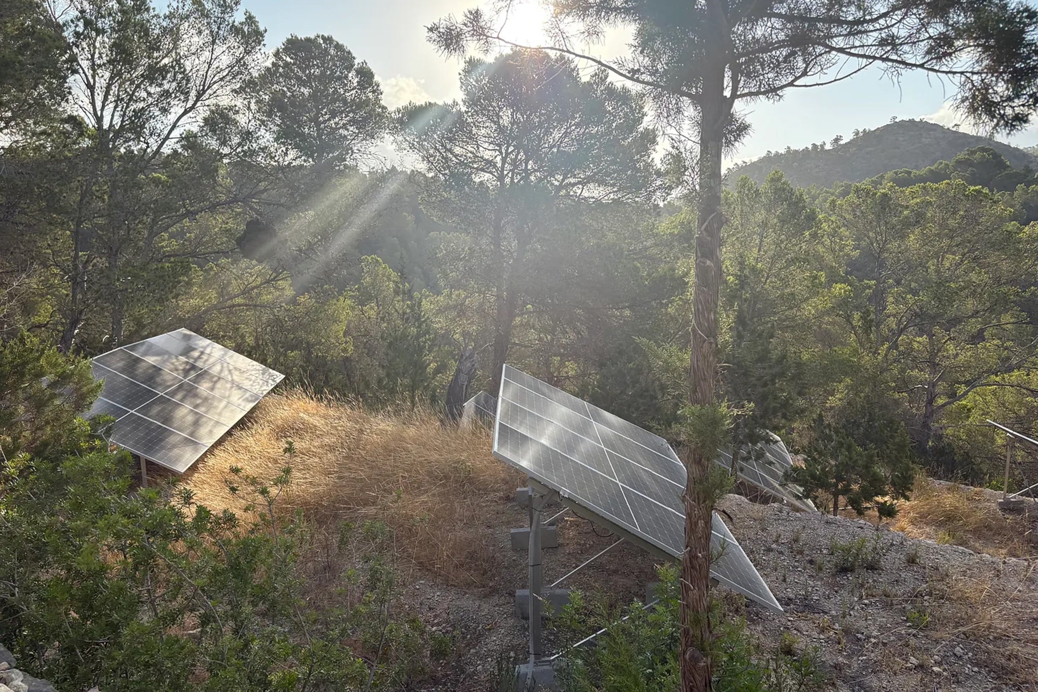 The solar panels won’t work when there is morning shade (Tiffanie Dark)