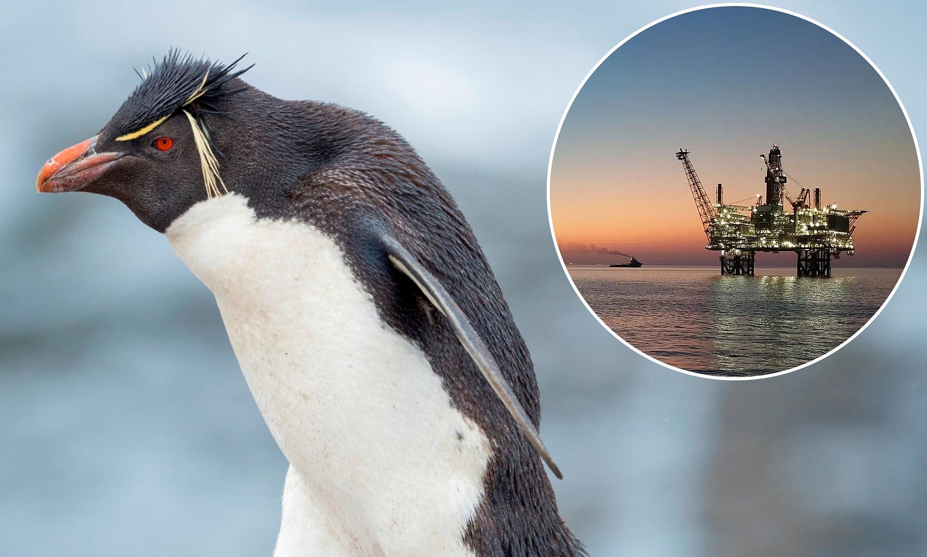 Rockhopper Exploration Rockhopper Oil Shares Price Prediction Gas  Exploration Rockhopper Exploration Plc Share