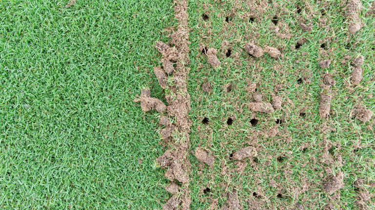 Aeration Mistakes to Avoid: Top Errors That Harm Your Lawn