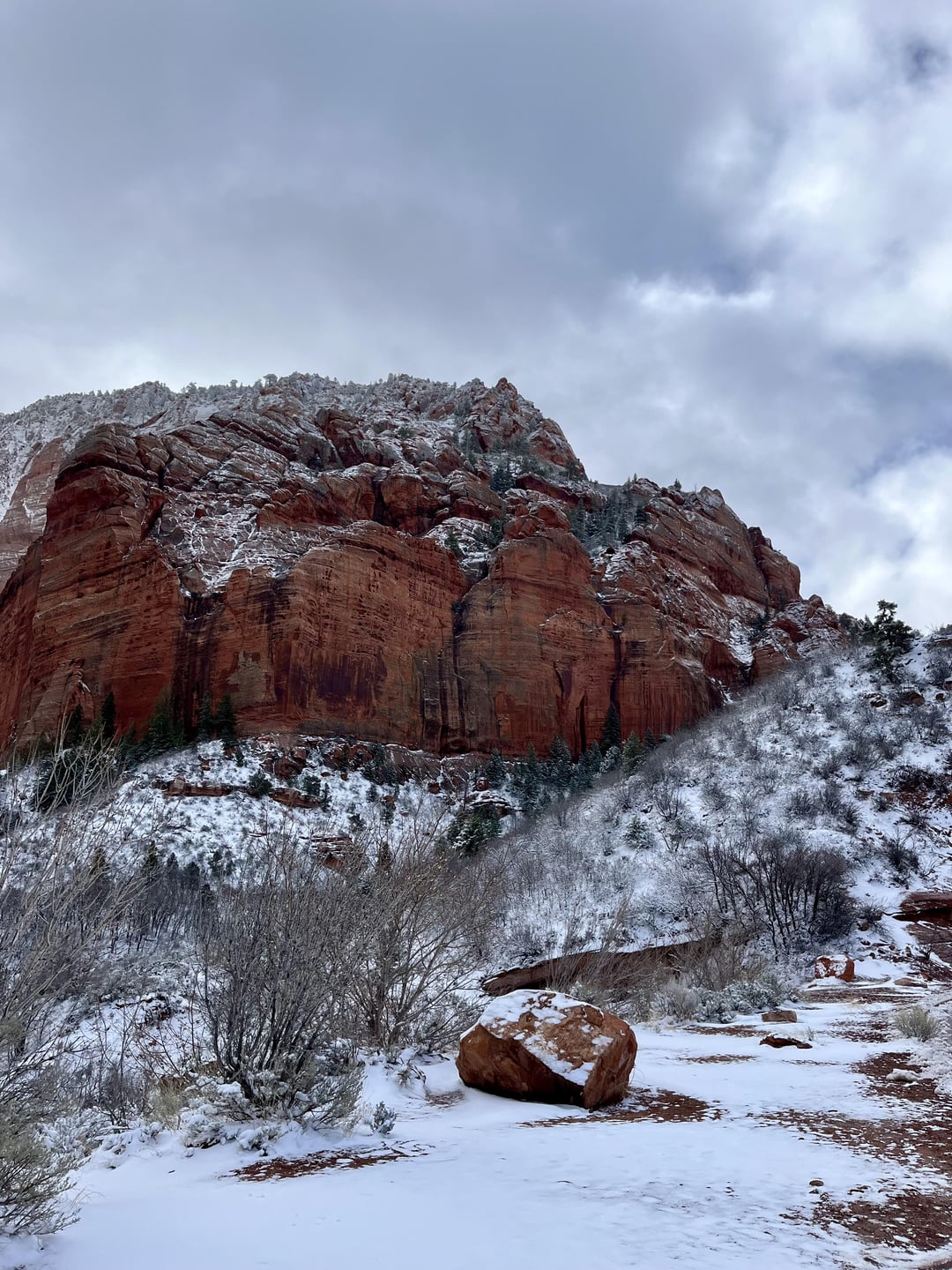 2025 U.S. Water Shortage Watch: 14 States at Risk (And Eco-Friendly