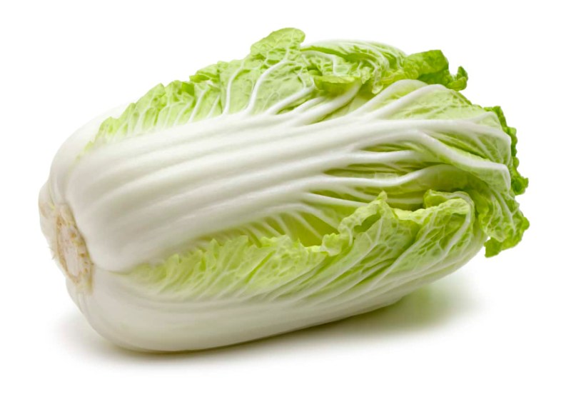 Chinese or Napa Cabbage