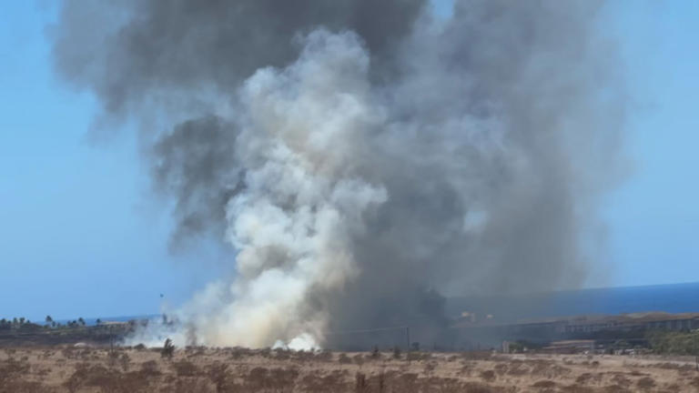 Brush fire in Kaanapali declared 100% contained