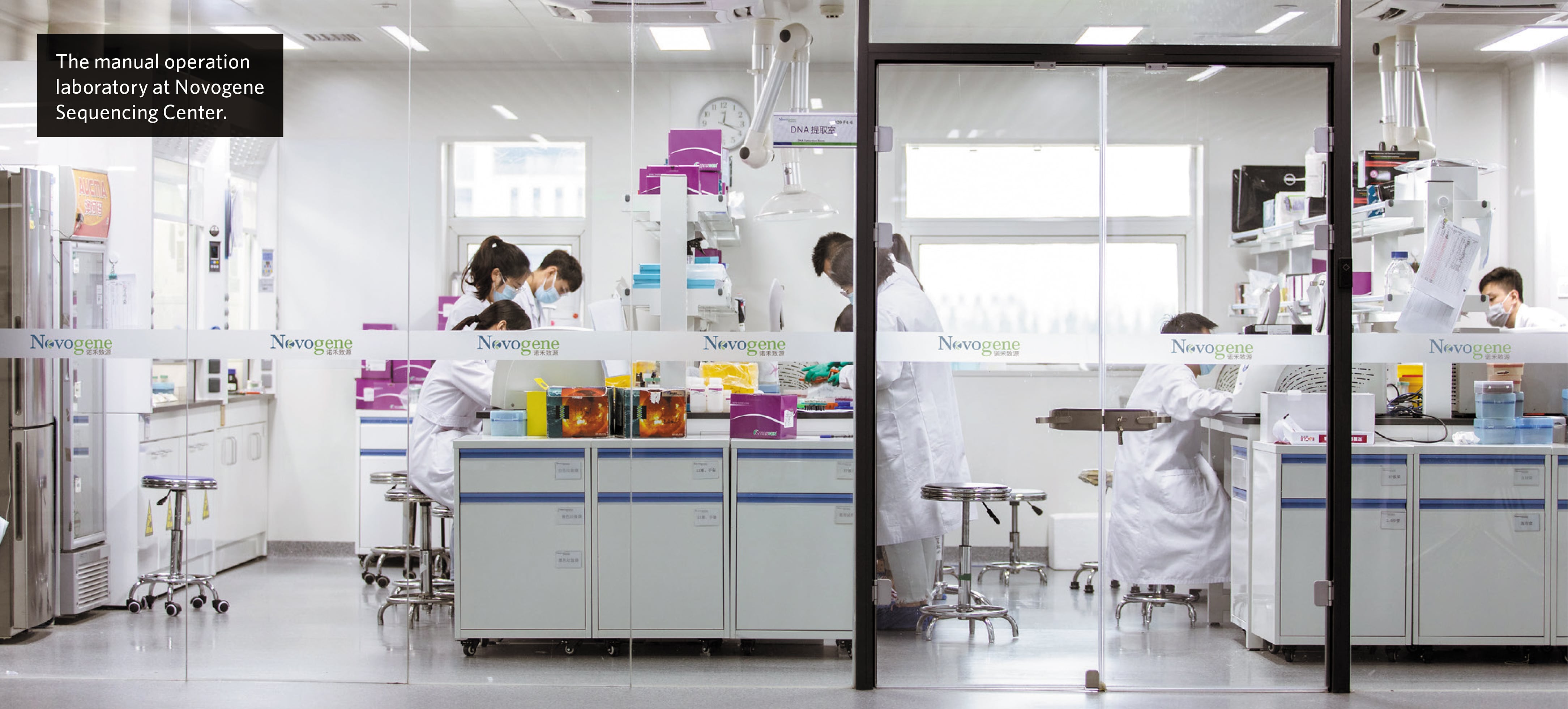 China’s Novogene expands to Korea, prompting genome data security concerns
