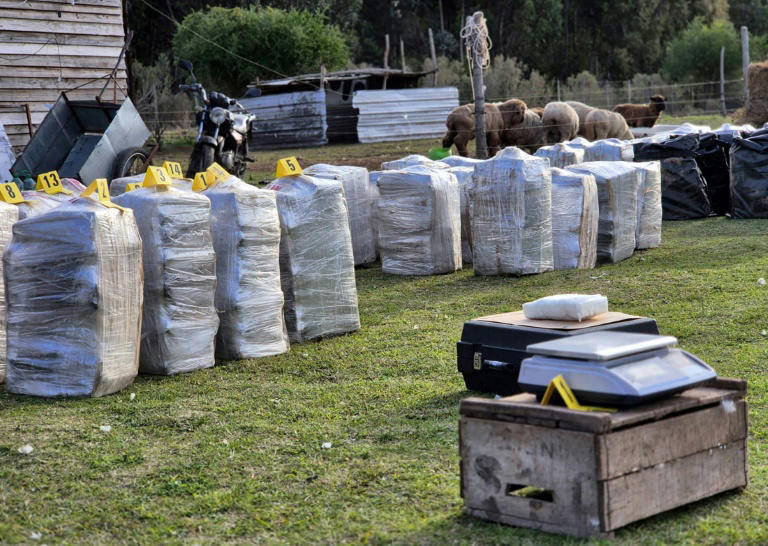 Paquetes de la cocaína incautada el 3 de agosto de 2025 en un predio de difícil acceso en Punta Espinillo, en las afueras de Montevideo (oeste), en una foto divulgada por el Ministerio del Interior de Uruguay