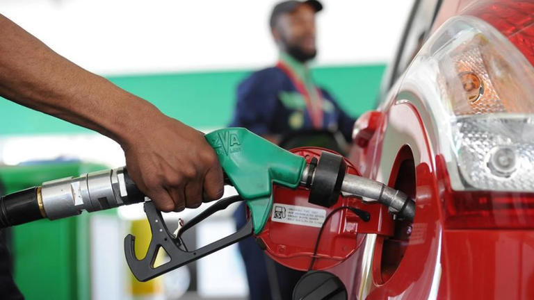 South African Entrepreneurs Face Early Economic Challenges