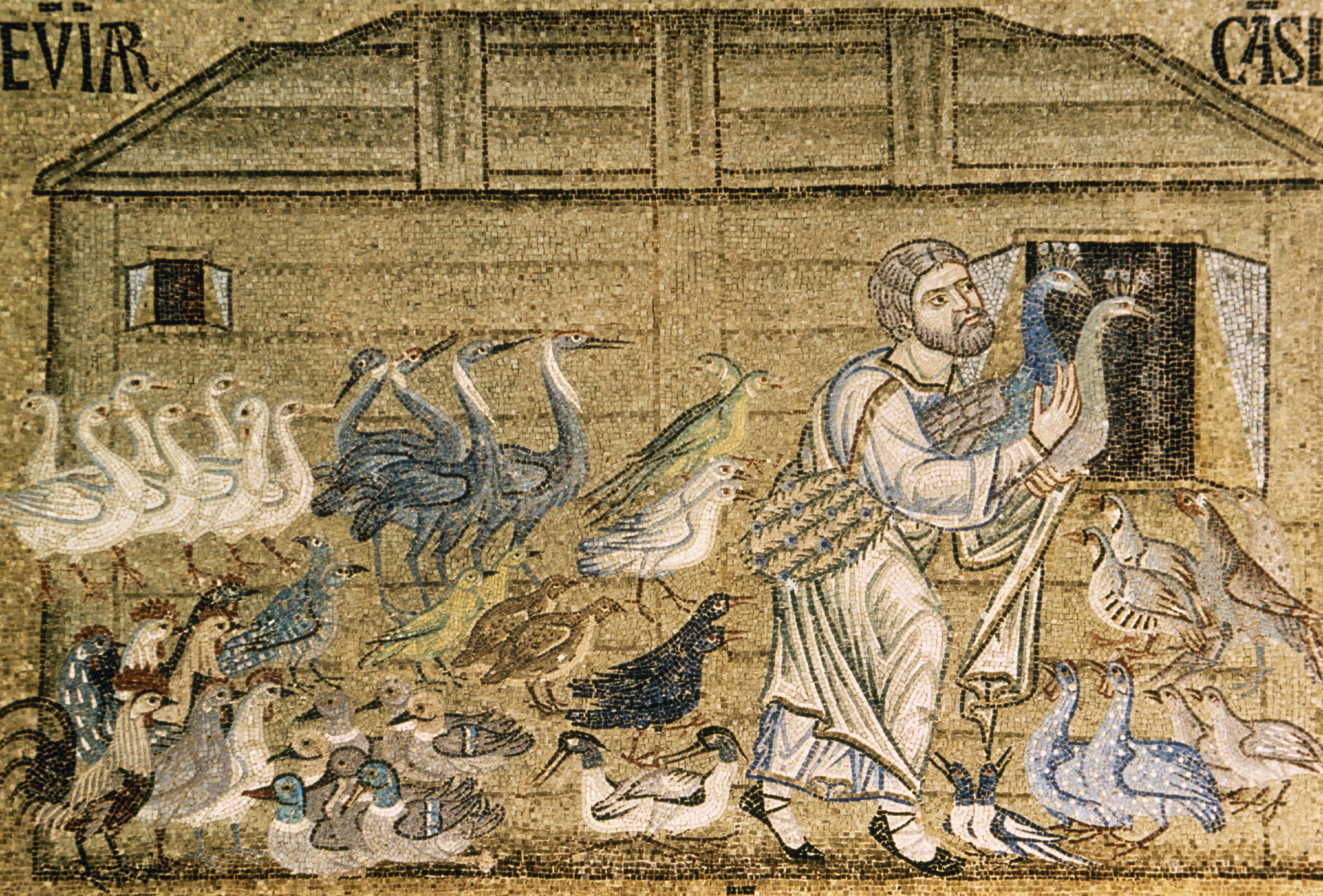 How much do we know about Noah from the Bible?