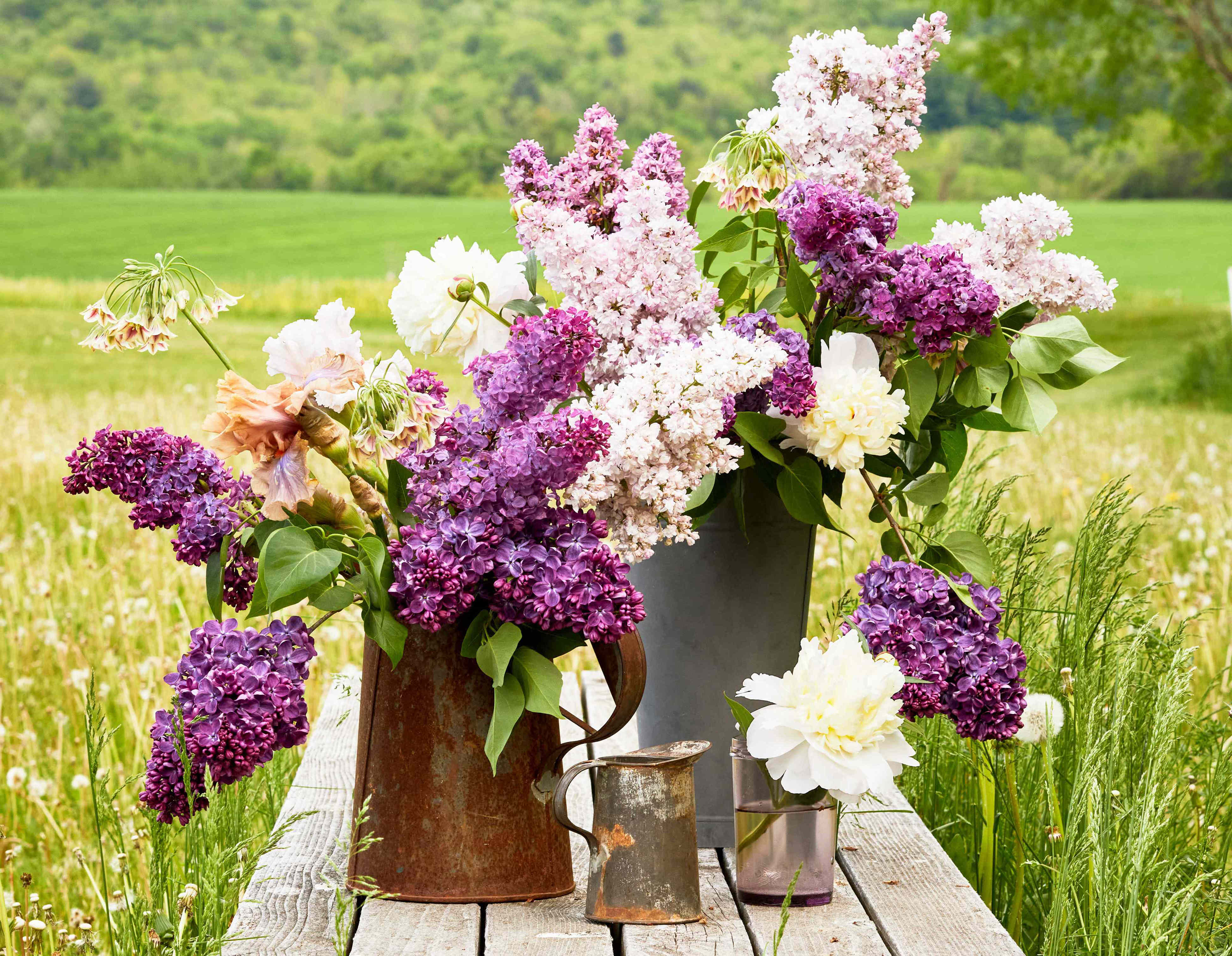 4 simple steps to bring fresh-cut garden flowers indoors without bugs or extra mess