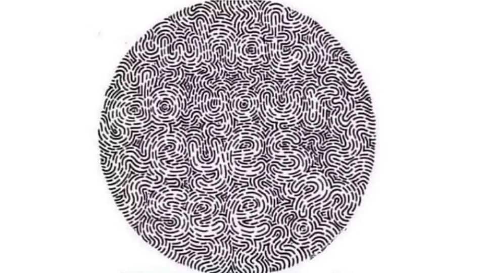 Optical illusion Only those with 10/10 vision can read this hidden