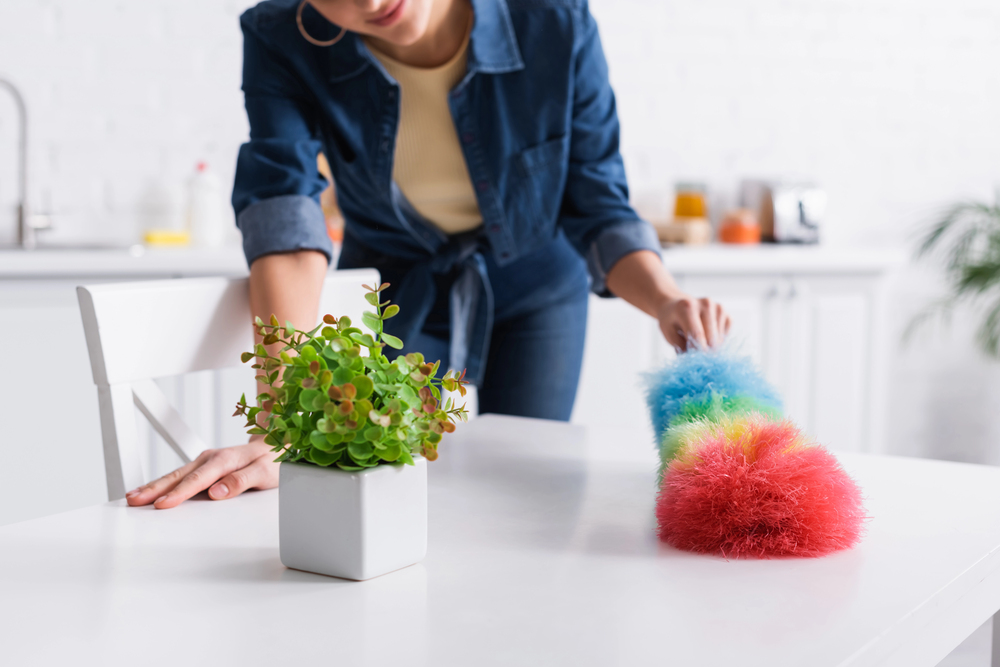 Image showcasing 15 Cleaning Habits That Keep Messes from Growing