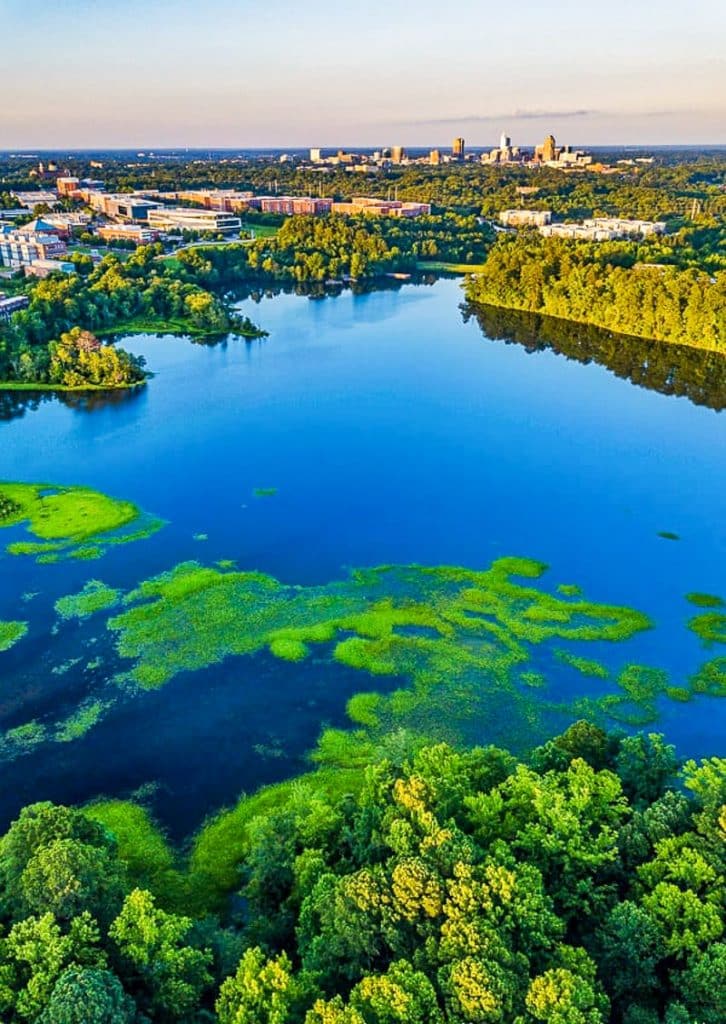 Uncovering the Secret of Lake Raleigh: A Hidden Oasis