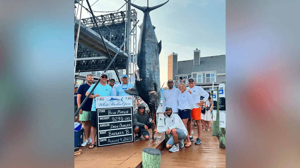 Angler reels in massive Blue Marlin on 1st day of Maryland fishing ...