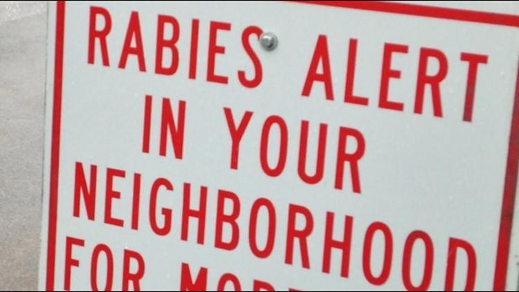 Fox bites child in Peachtree City, tests positive for rabies