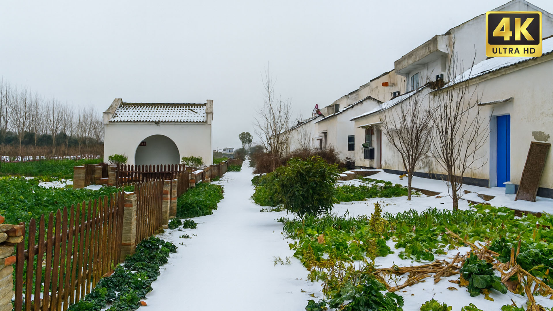 winter-landscape-walking-experience-in-china-4k
