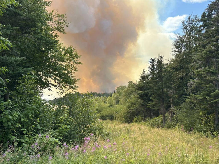 Cold weekend temperatures limit Kingston wildfire growth as fire ...