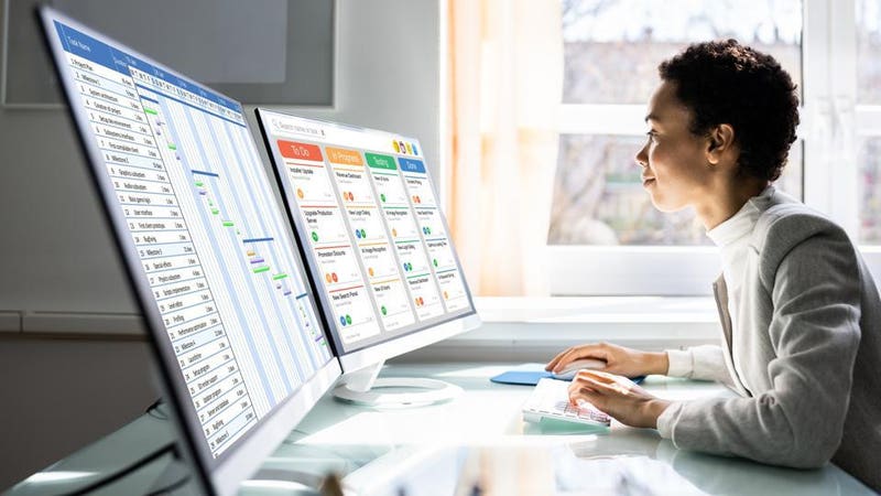 What is project management? Definitions, examples & more