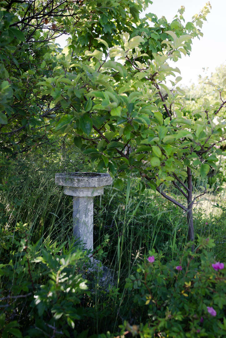 Cape Cod Cottage Garden bird bath beach plum