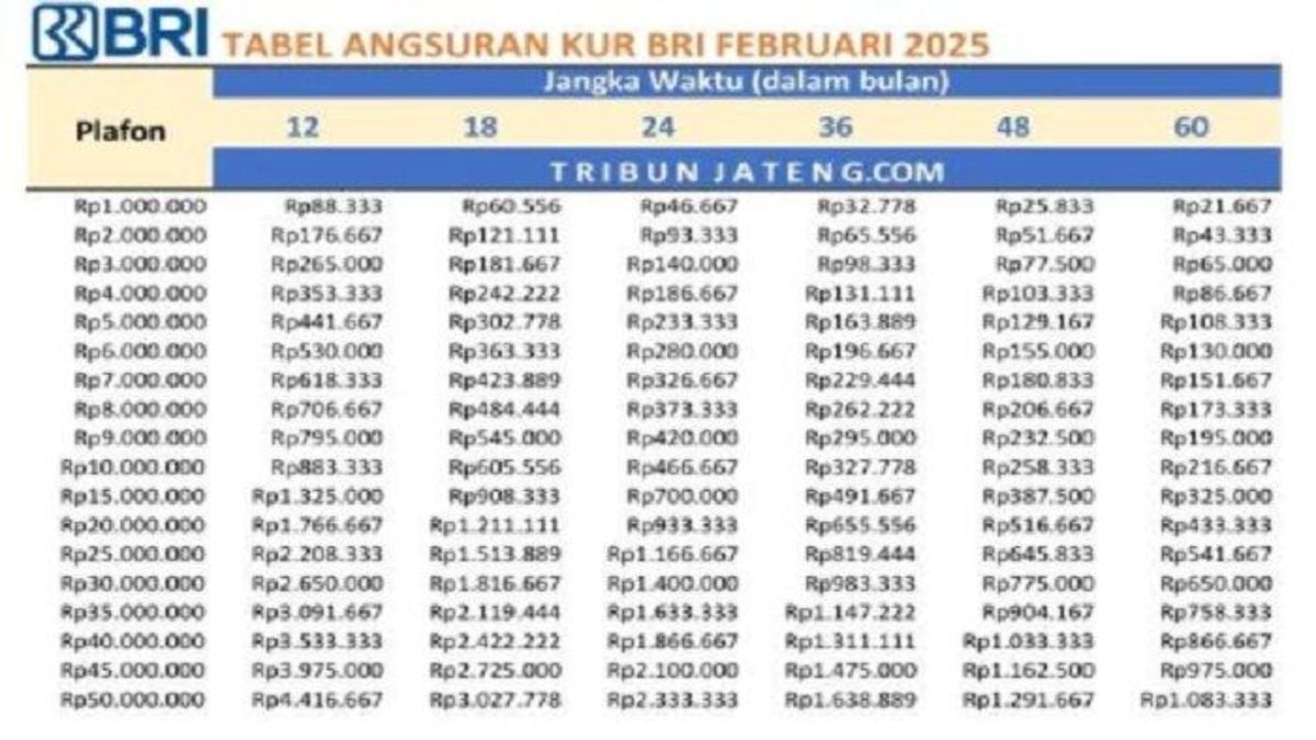 Ikuti Panduan Pengajuan Pinjaman KUR BRI 2025 Mulai Rp10 Juta, Dana Cepat Cair!