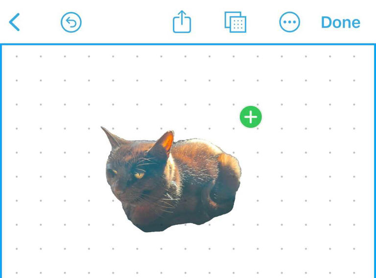 Dragging the subject of a photo into the Freeform app.