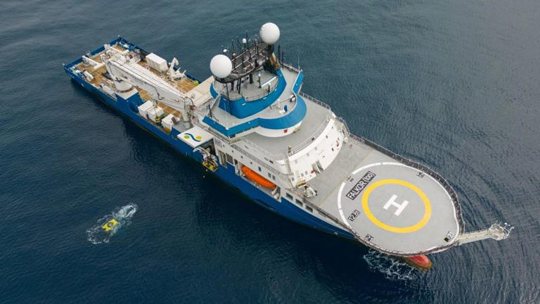 Viral livestream of Argentina’s deep-sea creatures stirs pride and ...