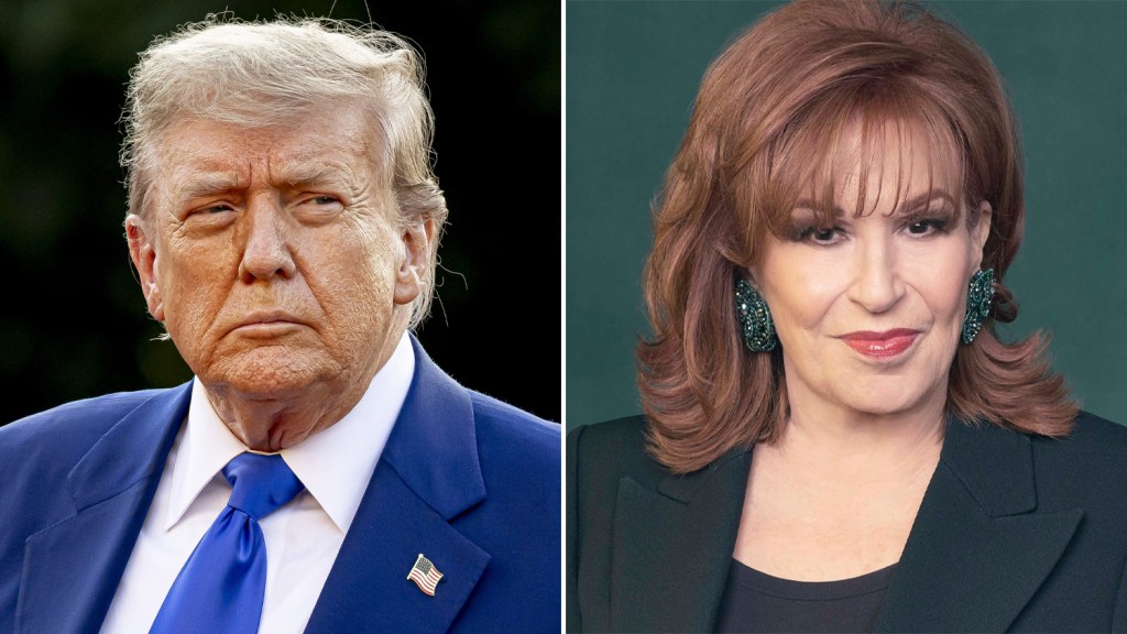 White House Slams Joy Behar's Recent Trump Comments And Warns Of ABC's