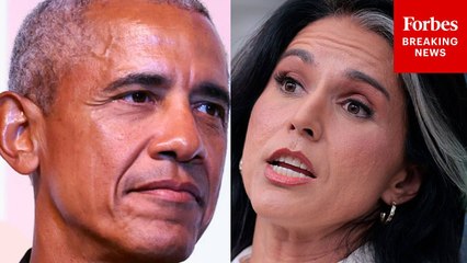 Reporter To Tulsi Gabbard: 'Do You Believe President Obama Is Guilty Of