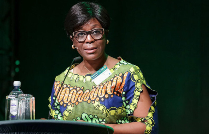 Congo : vers une meilleure protection de l’environnement avec un nouveau décret sur les études d’impact environnemental