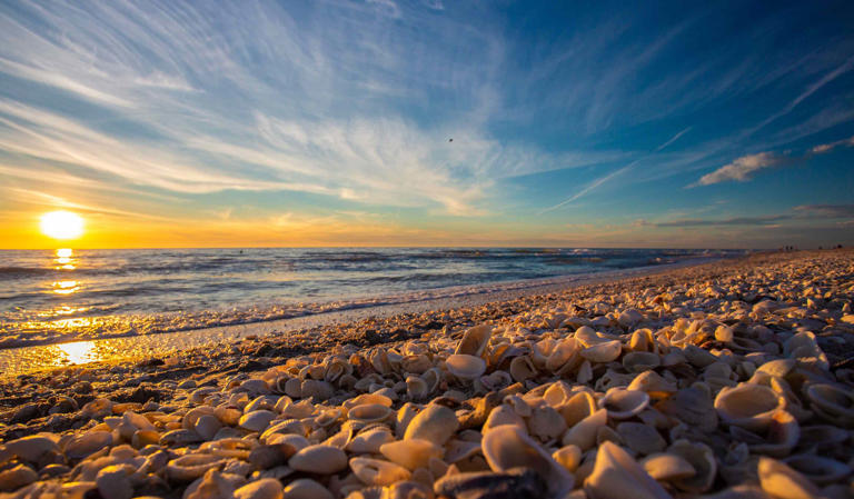 6 quiet Florida beaches with incredible shelling—and hardly any crowds