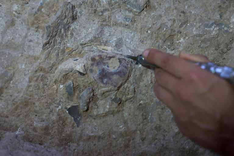 Secrets of ancient burial practices revealed by cave discovery