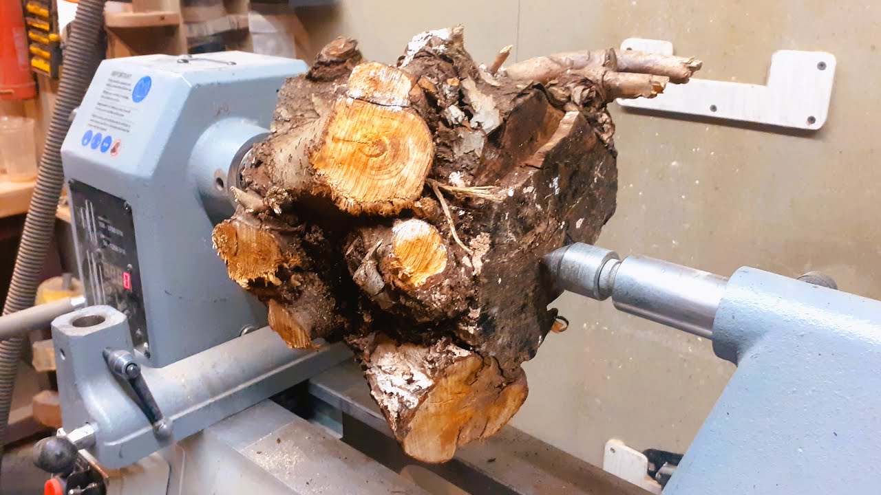 What hidden treasures lie inside every log