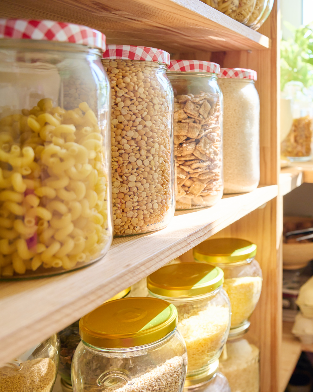 Unwanted guests: Are bugs in dry pasta safe to eat?