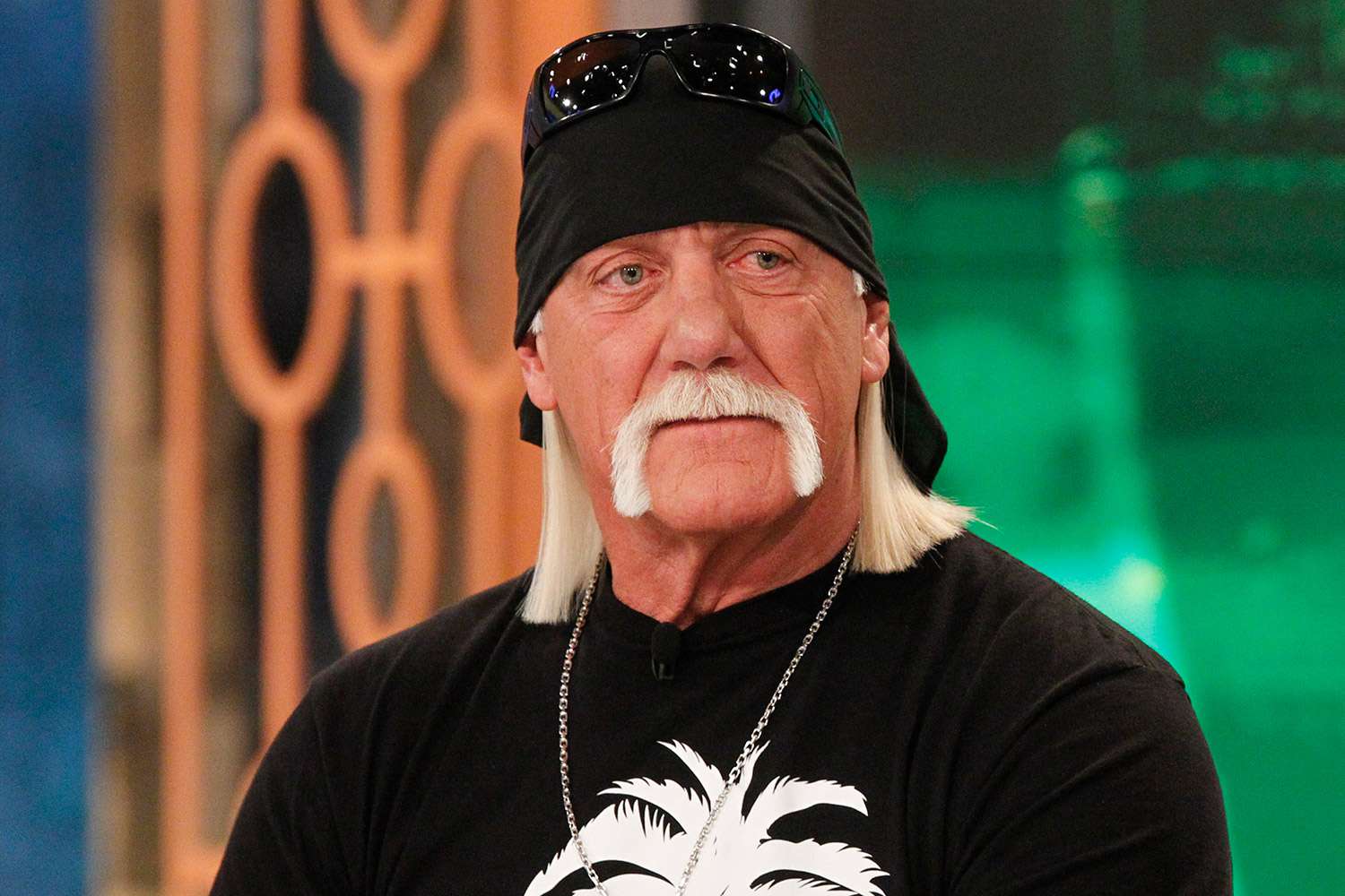 Hulk Hogan Death First Responders Spent 30 Minutes Attempting to