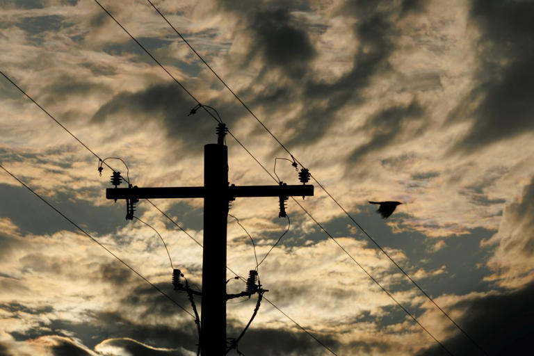 US electricity prices skyrocket under Trump, hitting highest levels in ...