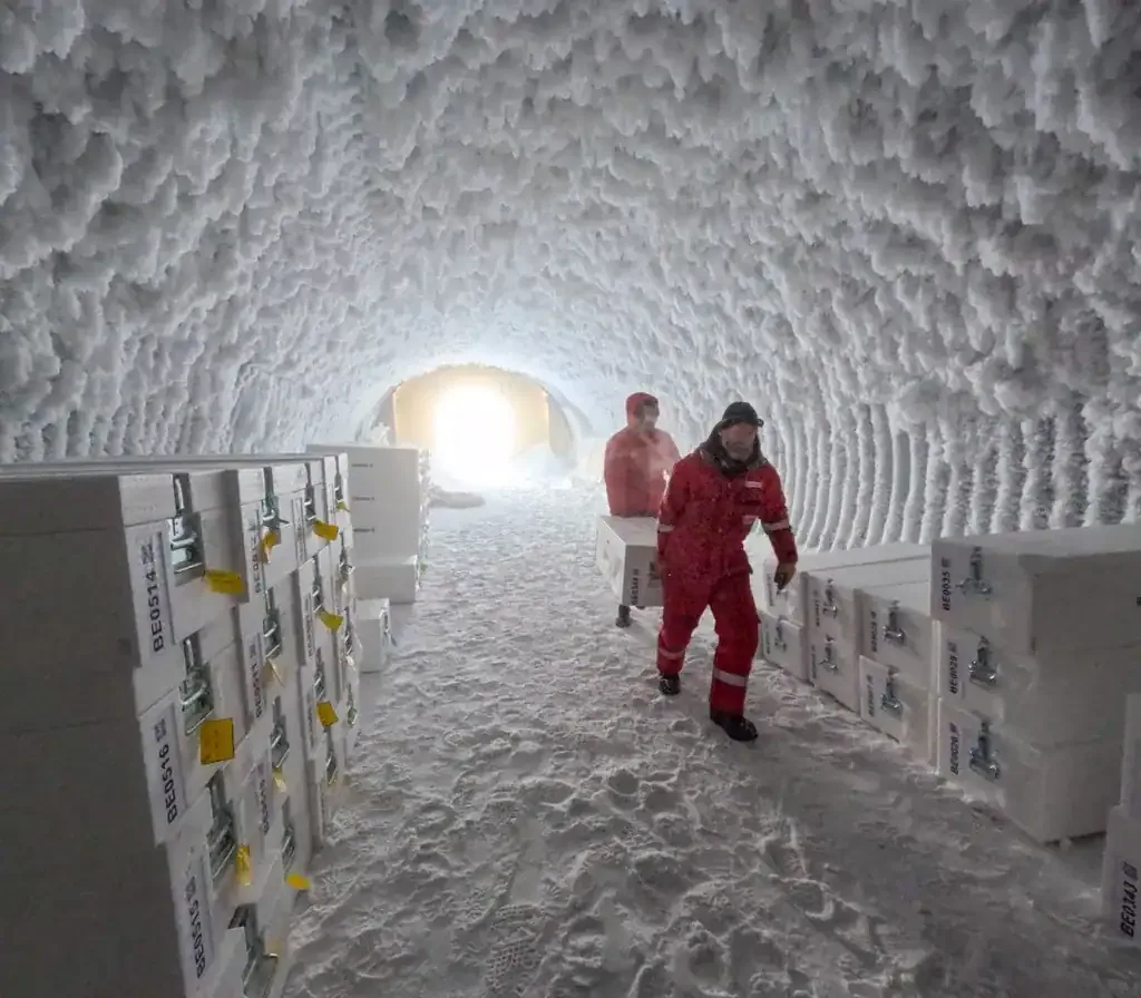The cores were stored in an ice cave in Antarctica before being loaded onto a boat for Europe. Credit: PNRA/IPEV.