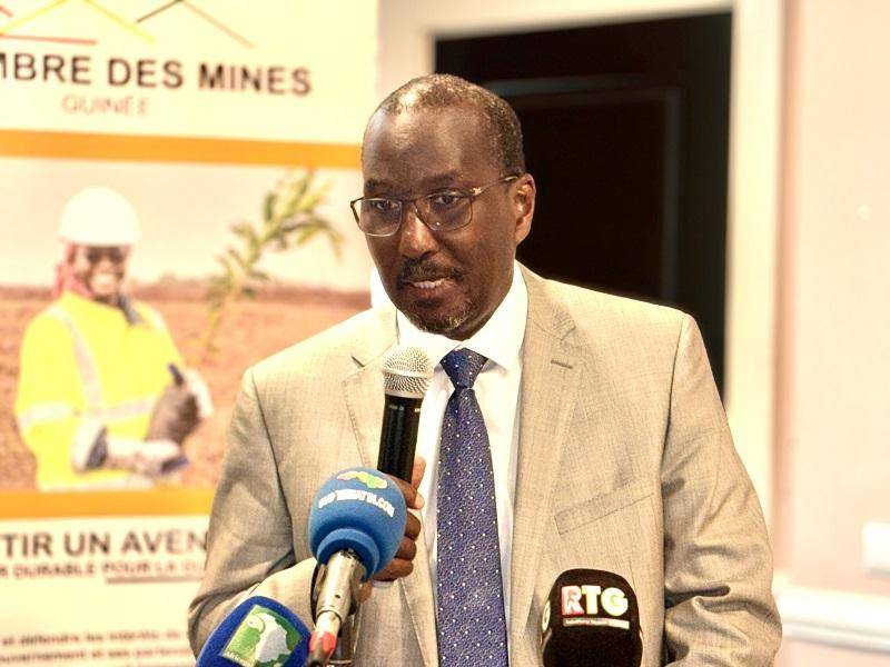 Conakry : le Réseau environnement bauxite (REB) tient son assemblée générale annuelle