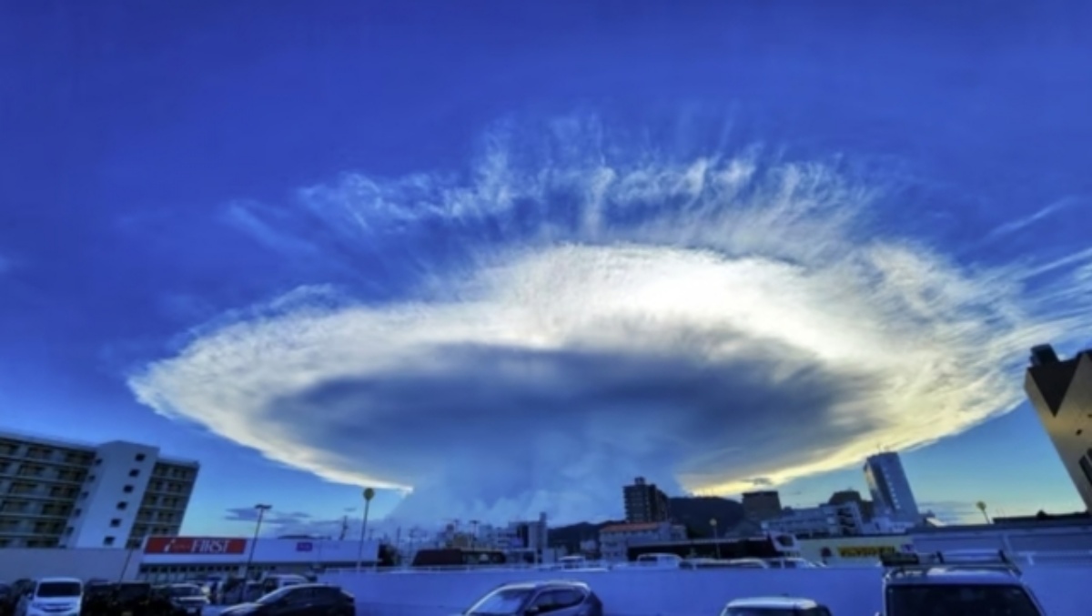 AA1JfG7P.img?w=768&h=433&m=4&q=94