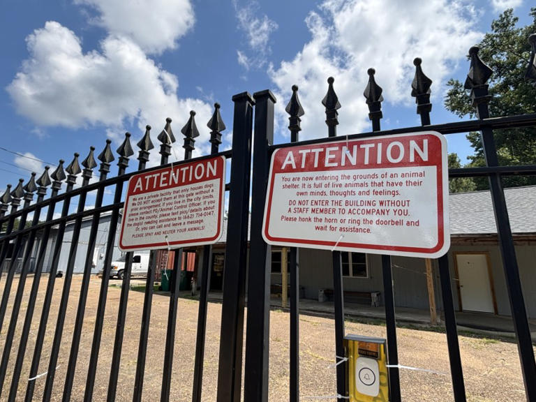 Man mauled to death by two dogs at Mississippi animal shelter