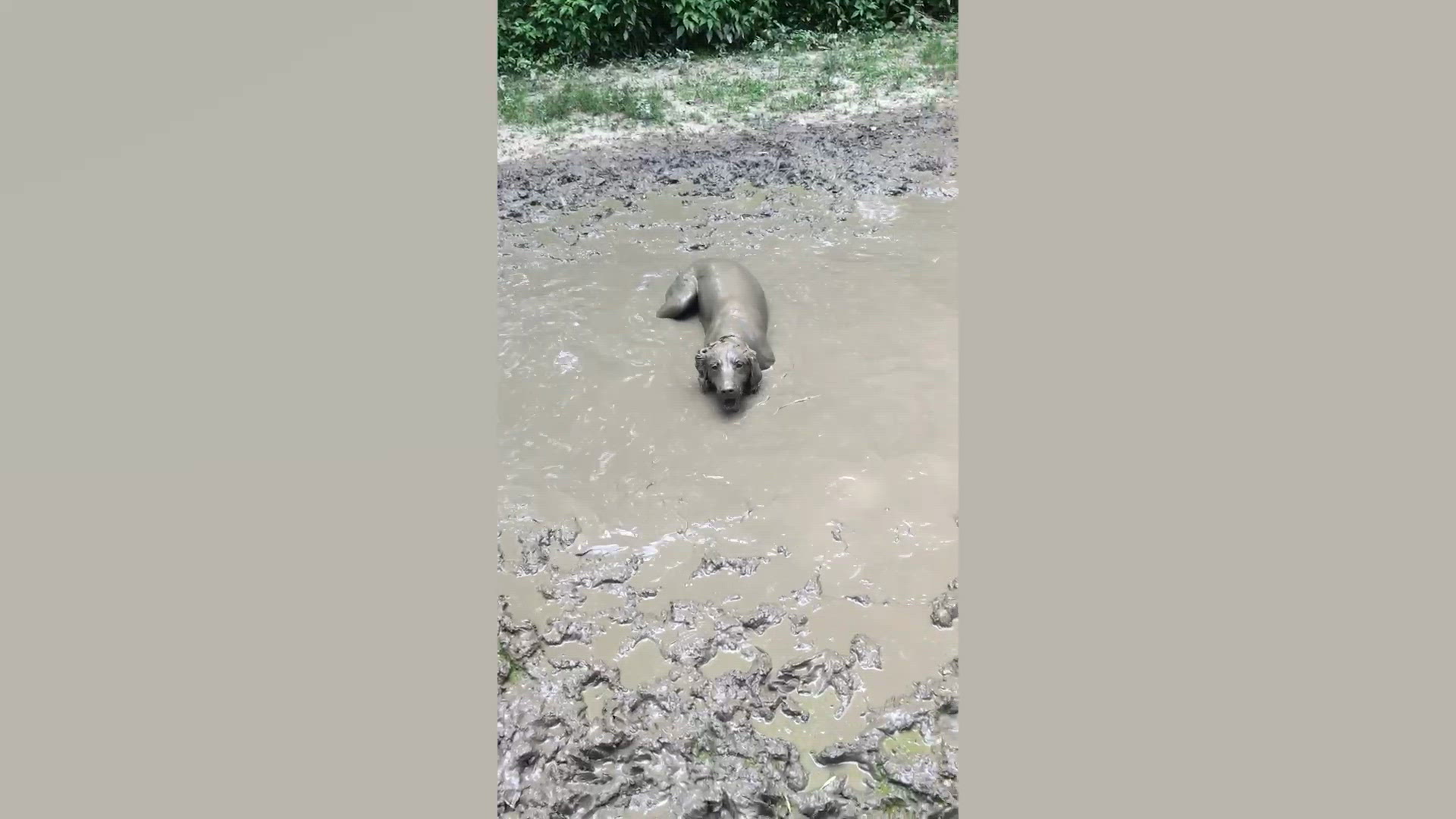 Messy Fails