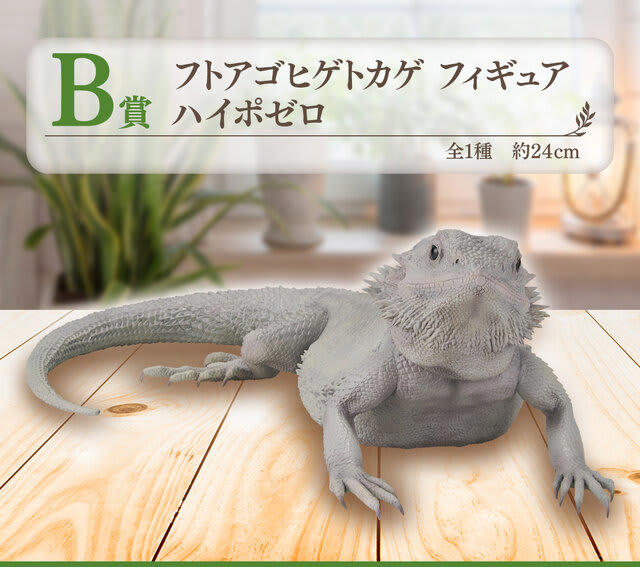 【お値下げ中】一番くじ 爬虫類＆両生類 ラストワン賞 アオジタトカゲ 一番くじ 爬虫類＆両生類 vol.2 ラストワン賞 アオジタトカゲ