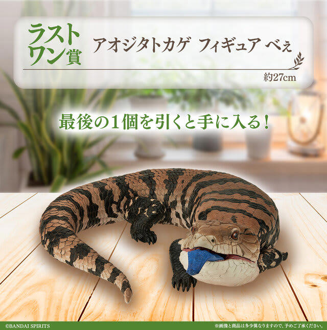 爬虫類＆両生類一番くじ　A賞　B賞まとめ2点　匿名配送　アオジタトカゲ　フトアゴ 爬虫類＆両生類」だけの一番くじ 第2弾が7月25日より登場