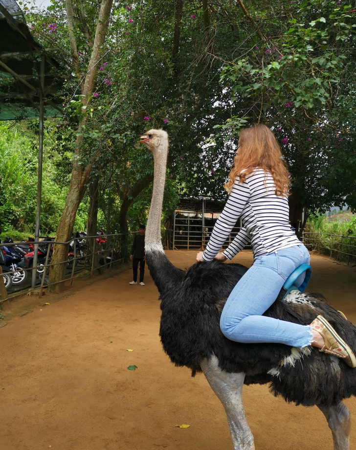 15 Vacation Moments That Just Defy Description