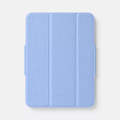 An iPad case