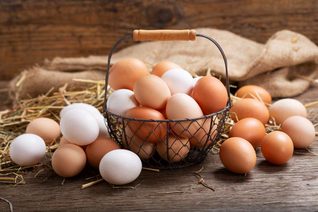 À la coque, au dur, en omelette… L'œuf, aliment incontournable de la gastronomie française, fait l’objet de nouvelles recherches qui réhabilitent son image. Longtemps accusé à tort de faire grimper le cholestérol, il serait en réalité un allié santé quand il est consommé dans le cadre d’une alimentation équilibrée. © Nitr, Adobe Stock
