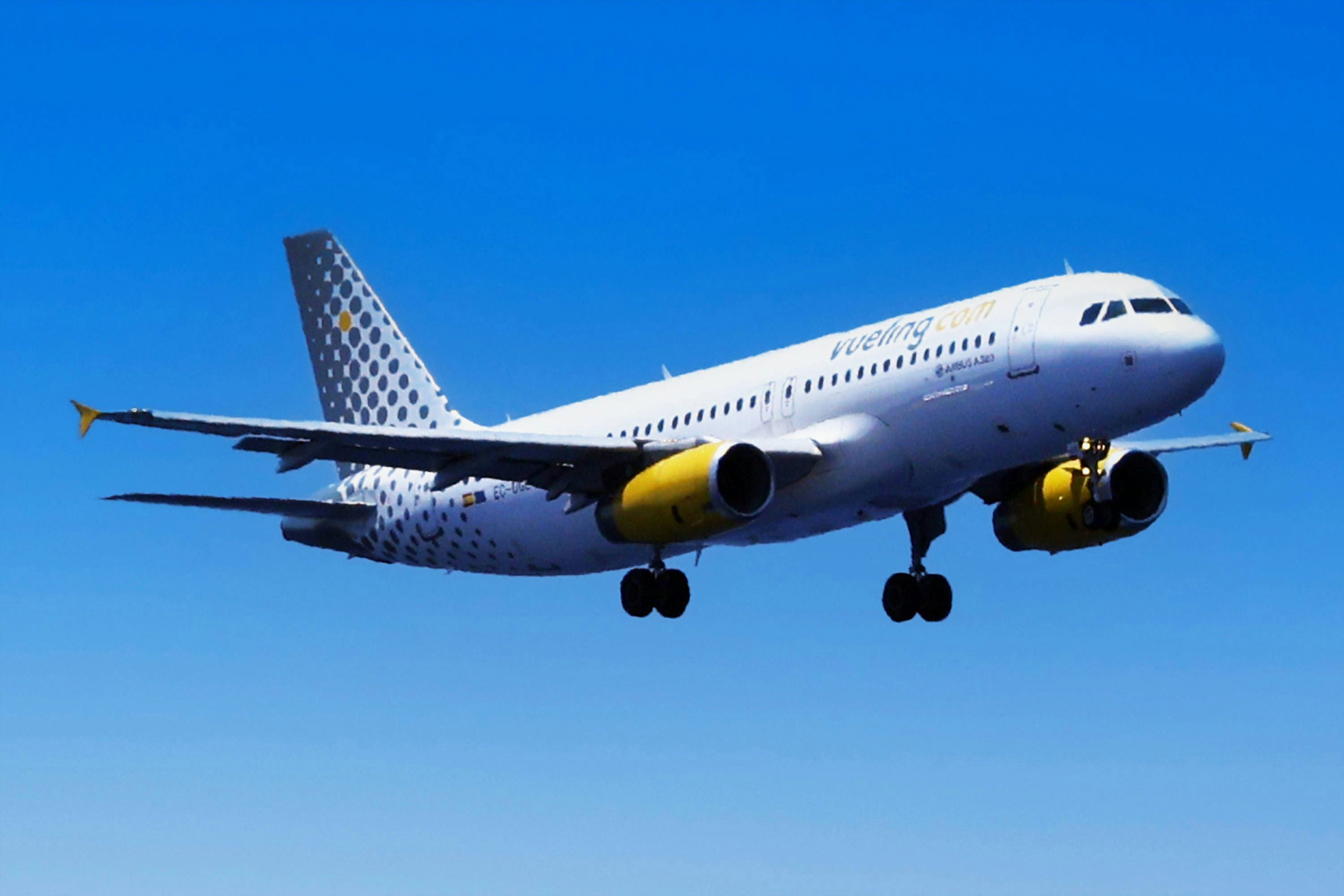 Eklat im Airbus: Jüdische Jugendgruppe aus Flugzeug geworfen Eklat im Airbus: Jüdische Jugendgruppe aus Flugzeug geworfen