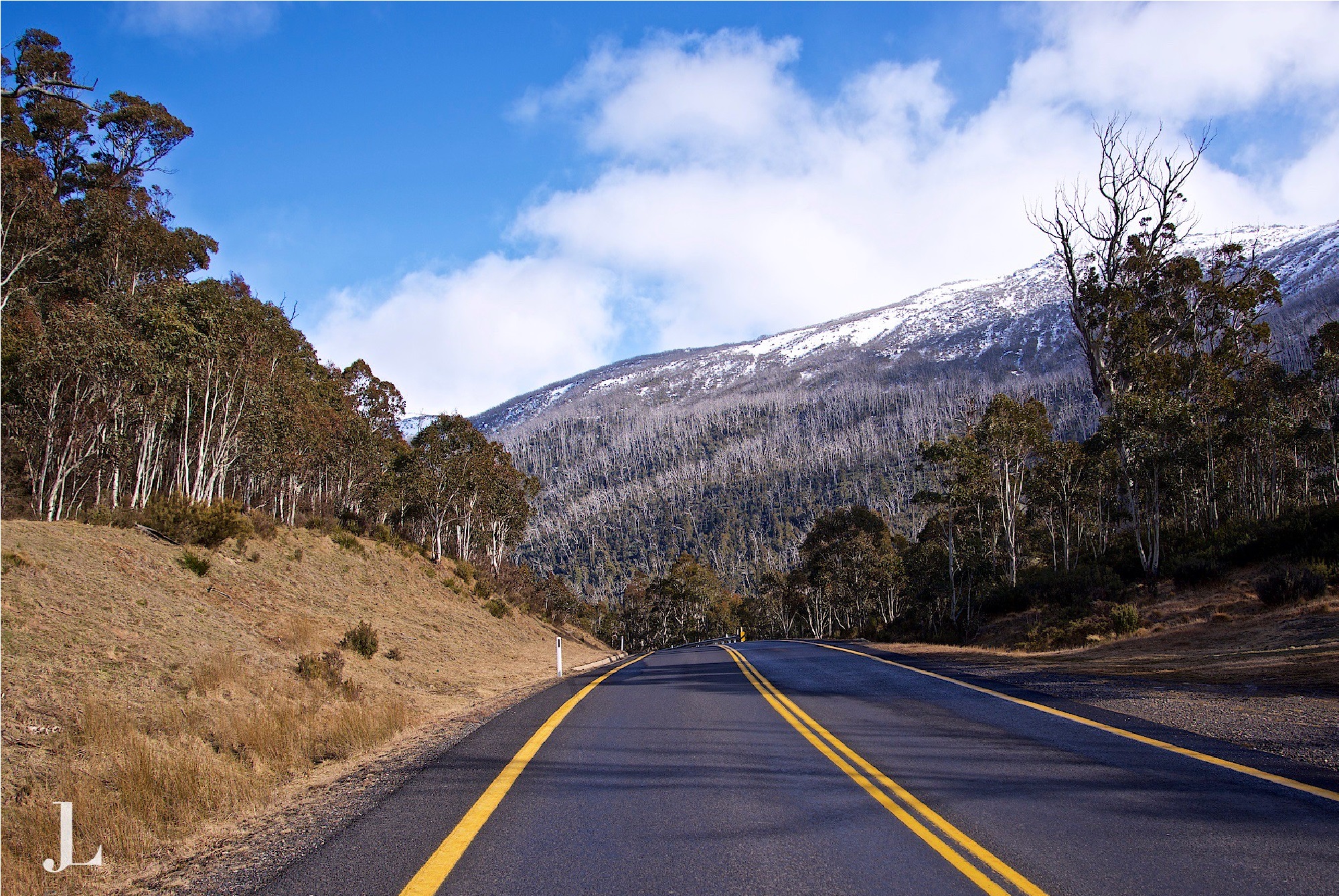Scenic drives in Australia and New Zealand